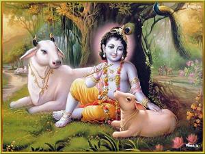 Lord-Krishna-In-a-Forest-With-Cow-Natural-Image